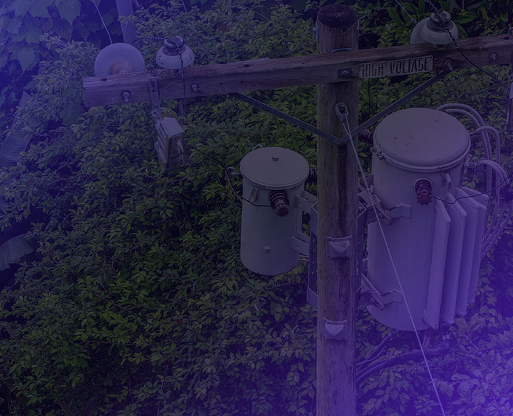 Inspection Program Assurance in an infrastructure operating environment